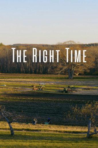 The Right Time () poster