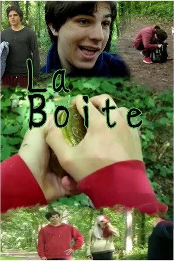 La Boite () poster