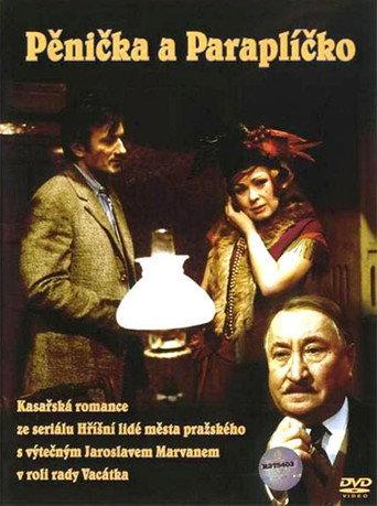 Burglar and Umbrella (1971) poster