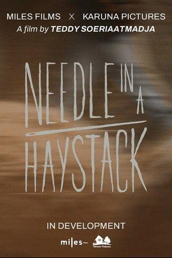 Needle In A Haystack () poster