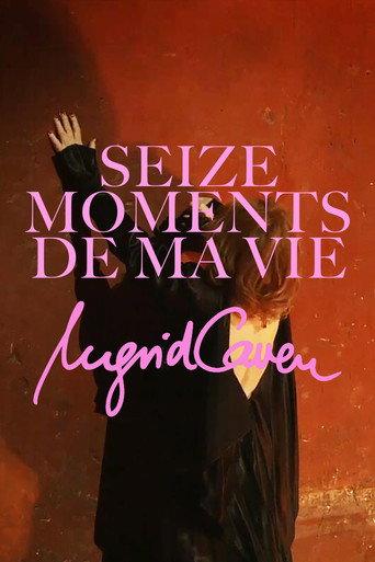 Sixteen Moments of My Life (2026) poster