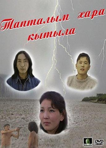 My Love is Black (2003) poster