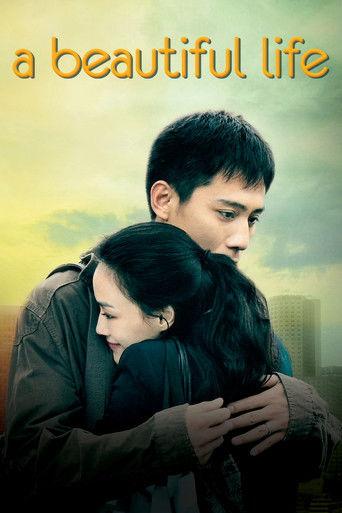 A Beautiful Life (2011) poster