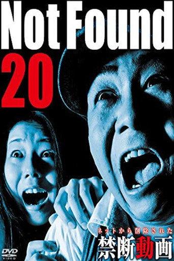 Not Found 20 (2015) poster