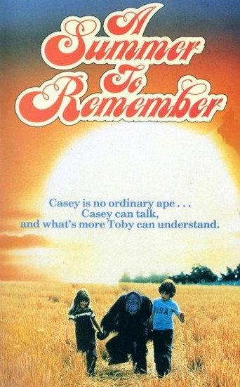 A Summer to Remember (1985) poster