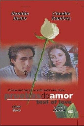 Test of Love (1994) poster