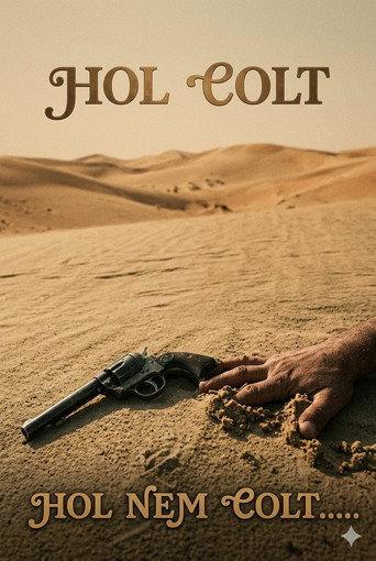 Hol colt, hol nem colt (1980) poster