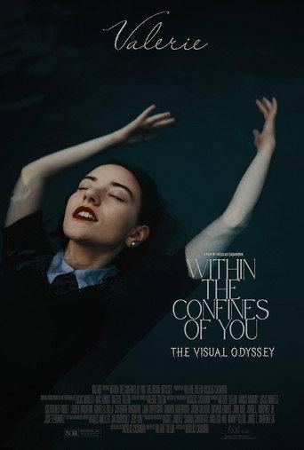 Within the Confines of You: The Visual Odyssey (2024) poster