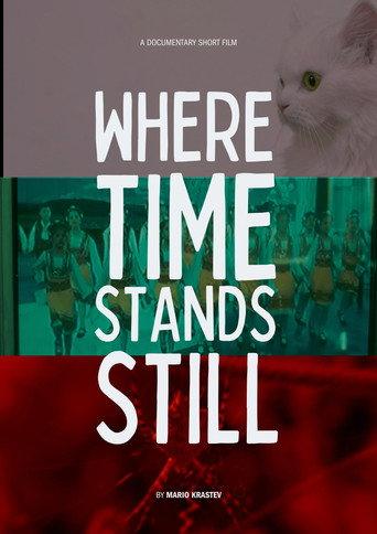 Where Time Stands Still () poster