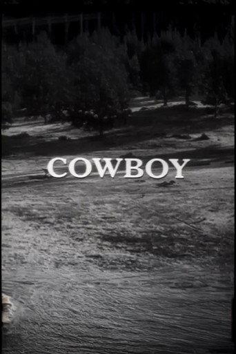 Cowboy (1966) poster