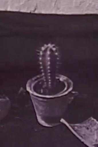 Cactus (1996) poster