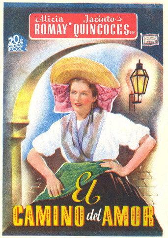 El camino del amor () poster