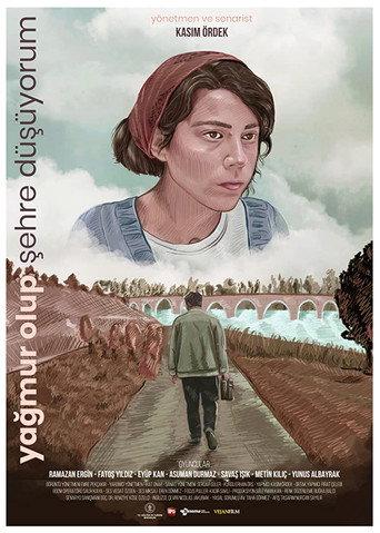 I'm Raining Down into the City (2019) poster