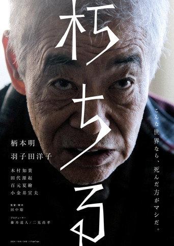 Rotting (2024) poster