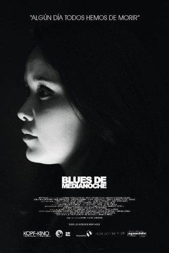Blues de medianoche (2014) poster