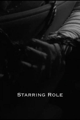 Starring Role (2024) poster