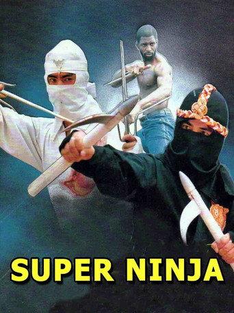 The Super Ninja (1984) poster