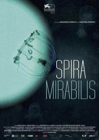 Miraculous Spiral (2016) poster