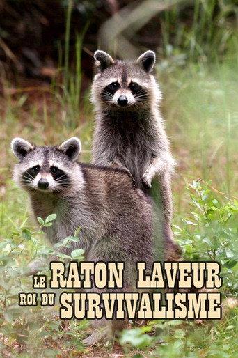 The Raccoon; The King of Survivalism (2021) poster
