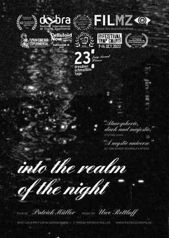 Into the Realm of the Night (2022) poster