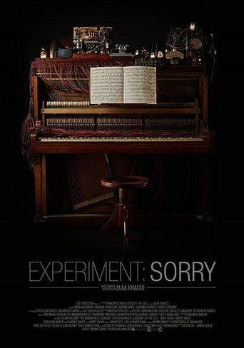Experiment: Sorry (2018) poster