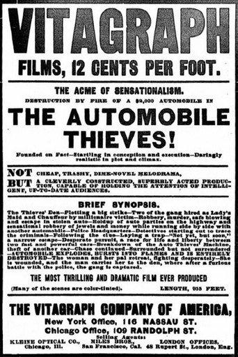 The Automobile Thieves (1906) poster