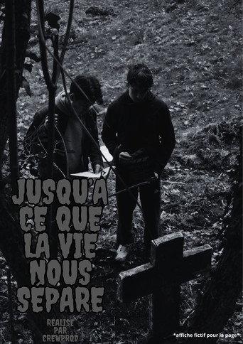 Jusqu'à ce que la vie nous sépare () poster