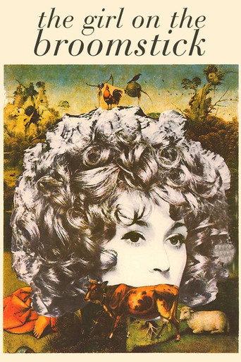The Girl on the Broomstick (1972) poster