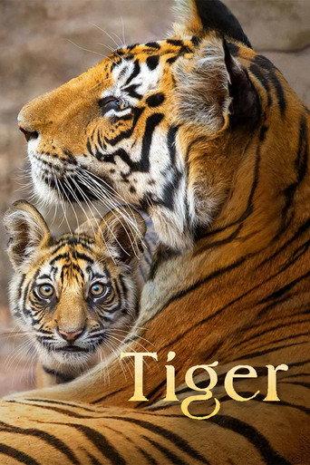 Tiger (2024) poster