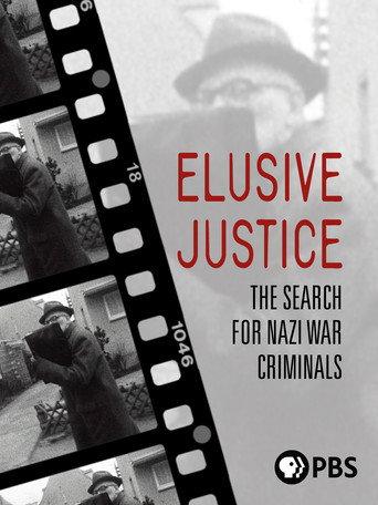 Elusive Justice (2011) poster
