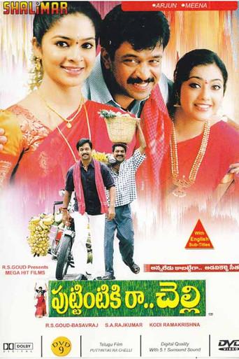 Puttintiki Raa Chelli (2004) poster