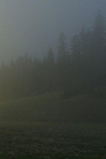 In A Beautiful And Quiet Location (2015) poster