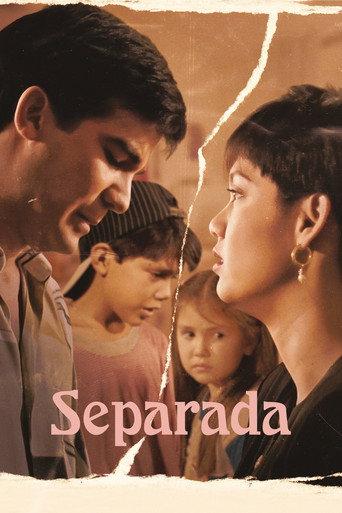 A Separated Woman (1994) poster