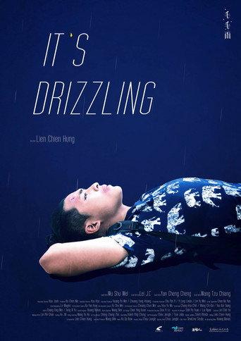 It's Drizzling (2014) poster