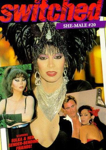She-Male Encounters 20: Switched (1989) poster