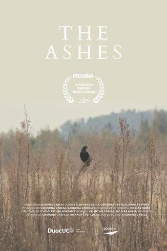 The Ashes (2023) poster