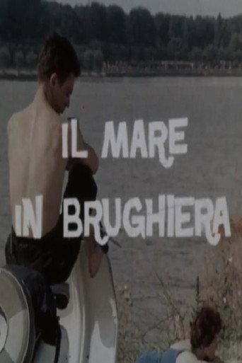 The Sea on a Moor (1962) poster