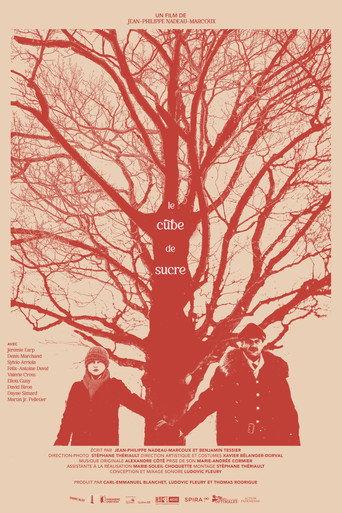 Le Cube de Sucre (2024) poster