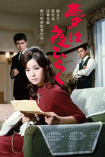 Dreams Come True at Night (1967) poster