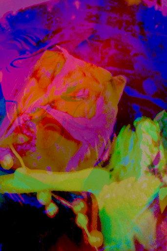 Hannah's Psycho-delic Adventure () poster