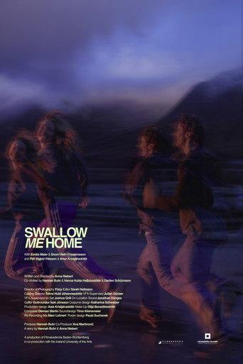 Swallow me home (2026) poster