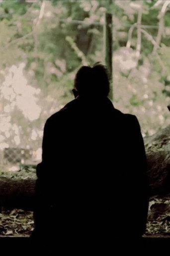 Threshold (2025) poster