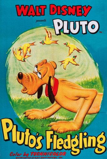 Pluto's Fledgling (1948) poster