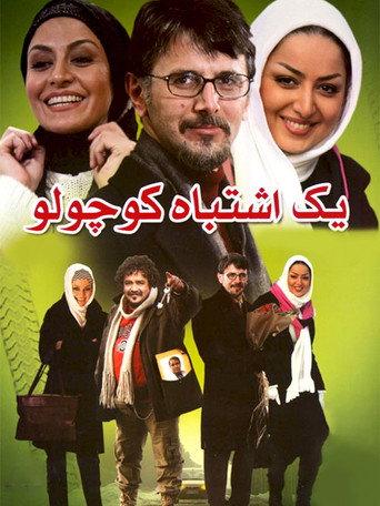 A Little Mistake (2008) poster