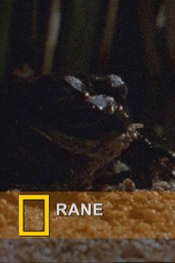 Fearsome Frogs (2000) poster