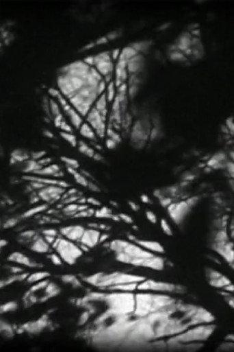 Masquerade (2006) poster