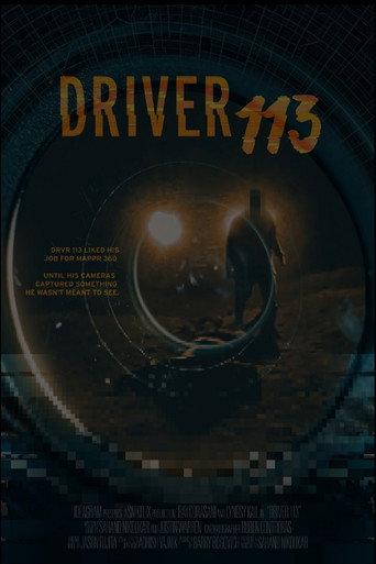 Driver 113 (2021) poster
