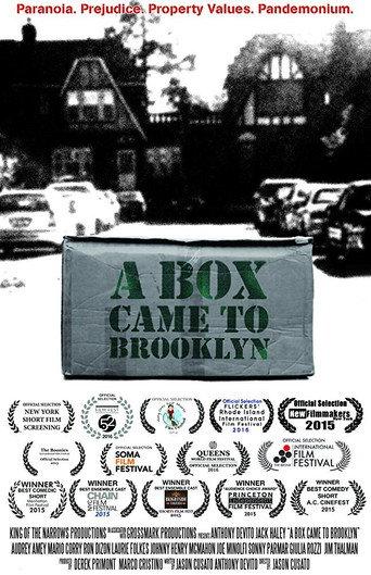 A Box Came to Brooklyn (2015) poster