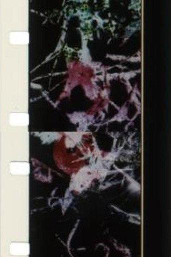The Birds Of Paradise (1999) poster
