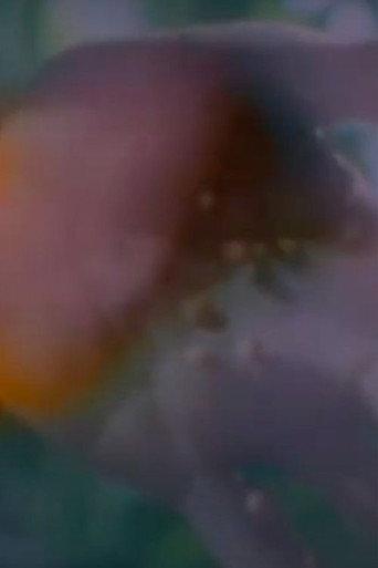 Birth (1997) poster